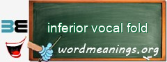 WordMeaning blackboard for inferior vocal fold